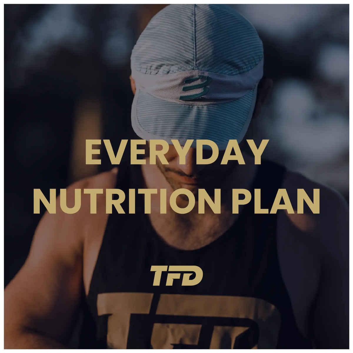 Everyday Nutrition Plan